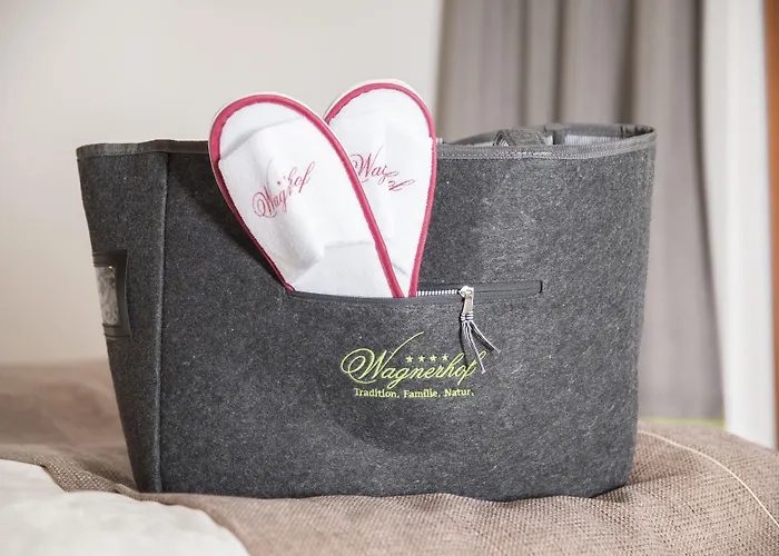 瓦格纳霍夫酒店 酒店